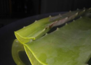 मुंहासों, झाइयों व दाग-धब्बों से ऐसे पाएं छुटकारा