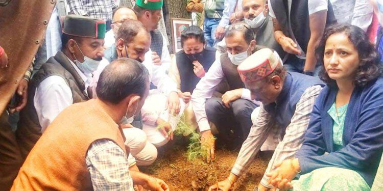 प्रदेश के विकास में वीरभद्र सिंह के योगदान को रखा जाएगा हमेशा याद : राठौर