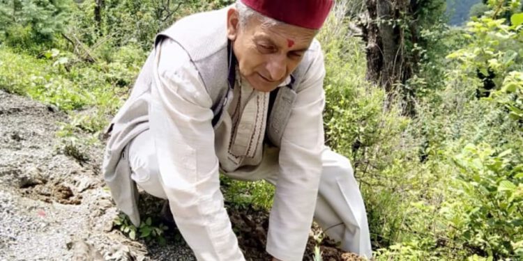 उमंग ने बल्देयां- मोहनपुर मार्ग पर देवदार के 200 पौधे लगाए