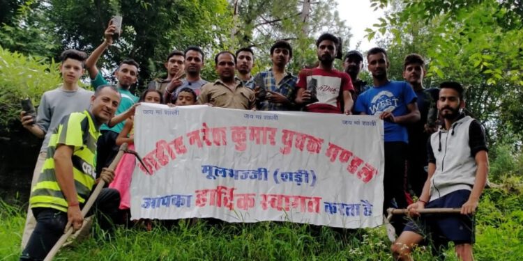 शहीद नरेश कुमार युवक मंडल मूलभज्जी शड़ी ने सड़क किनारे लगाए पौधे