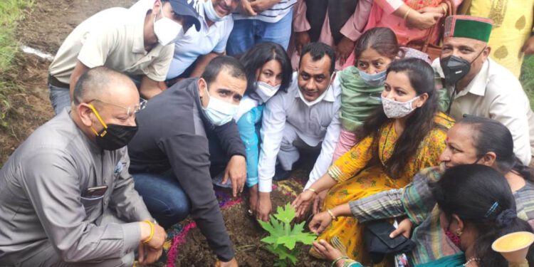 अधिक से अधिक पेड़ पौधों को रोपते हुए जंगलों का सरंक्षण करें लोग : विक्रमादित्य