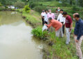 मछली पालन शुरू करेगा नौणी विश्वविद्यालय; किसान और छात्र होंगे लाभान्वित