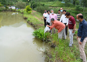 मछली पालन शुरू करेगा नौणी विश्वविद्यालय; किसान और छात्र होंगे लाभान्वित