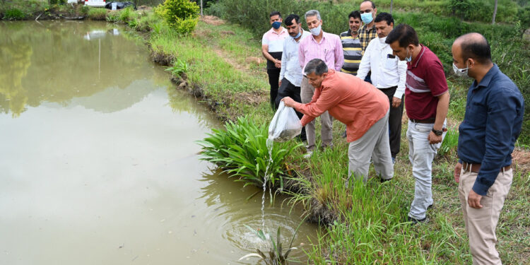 मछली पालन शुरू करेगा नौणी विश्वविद्यालय; किसान और छात्र होंगे लाभान्वित