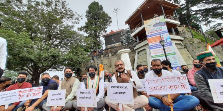 प्रदेश राजीव गांधी पंचायती राज संगठन   का गांधी की प्रतिमा के सामने  मुंह पर काली पटिया लगा कर शांति प्रदर्शन