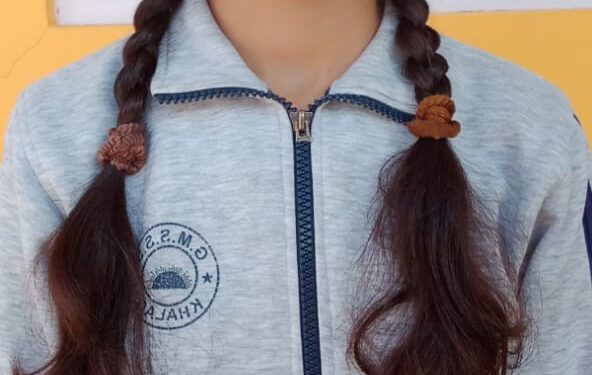 एनएसएस और व्यक्तित्व विकास विषय पर गूगल मीट के माध्यम से भाषण प्रतियोगिता आयोजित, शिमला खंड की राखी रही प्रथम