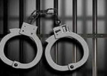 शिमला : 494 ग्राम चरस सहित पुलिस के हत्थे चढ़ा तस्कर