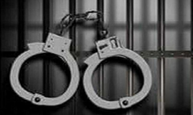 शिमला : 494 ग्राम चरस सहित पुलिस के हत्थे चढ़ा तस्कर