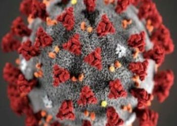 कोरोना से मौत पर परिजनों को केंद्र की तर्ज पर हिमाचल सरकार देगी 50 हजार रुपये की राहत राशि, आवेदन के 30 दिन के अंदर क्लैम करना होगा सेटल, जिला स्तर पर शिकायत निवारण कमेटी गठित : जाने प्रदेश सरकार द्वारा जारी अधिसूचना  और कैसे करना होगा आवेदन :-