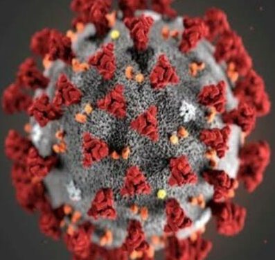 कोरोना से मौत पर परिजनों को केंद्र की तर्ज पर हिमाचल सरकार देगी 50 हजार रुपये की राहत राशि, आवेदन के 30 दिन के अंदर क्लैम करना होगा सेटल, जिला स्तर पर शिकायत निवारण कमेटी गठित : जाने प्रदेश सरकार द्वारा जारी अधिसूचना  और कैसे करना होगा आवेदन :-