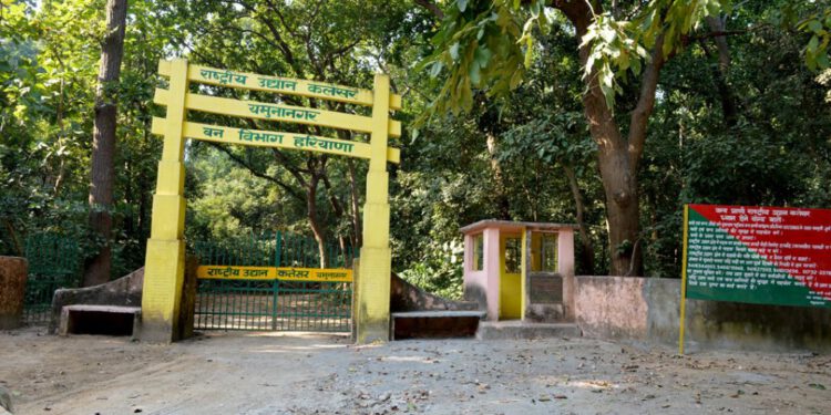 हरियाणा में व पहला मशरूम सर्वेक्षण 30 सितंबर को यमुनानगर जिले के कलेसर राष्ट्रीय उद्यान और वन्यजीव अभयारण्य में