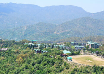 युवाओं को स्वरोज़गार के लिया फ्रूटस एंड वेजीटेबल प्रोसेसिंग एवं बेकरी प्रोडक्टस डिप्लोमा करने का सुनहरा अवसर