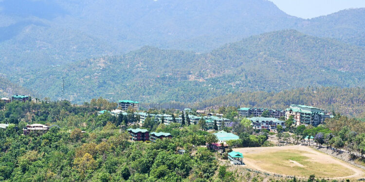 युवाओं को स्वरोज़गार के लिया फ्रूटस एंड वेजीटेबल प्रोसेसिंग एवं बेकरी प्रोडक्टस डिप्लोमा करने का सुनहरा अवसर