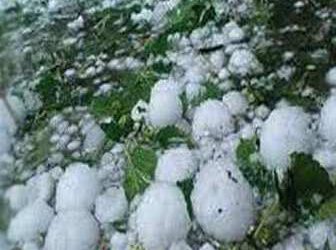 कृषि मंत्रालय ने वापिस लौटाई हिमाचल प्रदेश द्वारा भेजी सूखे व ओलावृष्टि से हुए नुकसान की रिपोर्ट, जाने क्या है पूरा मामला