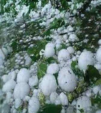 कृषि मंत्रालय ने वापिस लौटाई हिमाचल प्रदेश द्वारा भेजी सूखे व ओलावृष्टि से हुए नुकसान की रिपोर्ट, जाने क्या है पूरा मामला