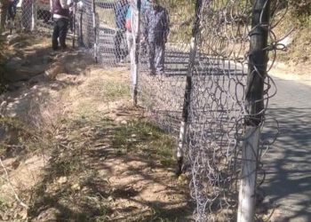 भेड़-बकरियों की मौत के बाद हरकत में आया विभाग…..