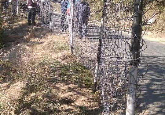 भेड़-बकरियों की मौत के बाद हरकत में आया विभाग…..