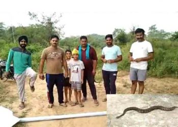 नालागढ़ : यू-टयूब पर देखे तरीके से युवक ने पकड़ा घर में घुसा अजगर