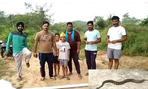 नालागढ़ : यू-टयूब पर देखे तरीके से युवक ने पकड़ा घर में घुसा अजगर