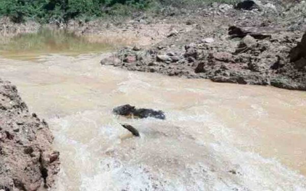 खड्ड से मिला 20 वर्षीय लापता युवक का कंकाल