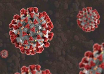 सात बच्चे निकले  कोरोना पॉजिटिव, स्कूल खुलते ही कोरोना ने दिखाने शुरू कर दिए रंग