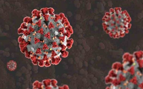 सात बच्चे निकले  कोरोना पॉजिटिव, स्कूल खुलते ही कोरोना ने दिखाने शुरू कर दिए रंग