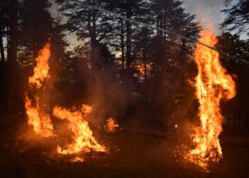 जाखू में धूं धूं कर जले रावण, कुंभकरण एवं मेघनाथ के पुतले, सी. पालरासु ने किया पुतलों का दहन….