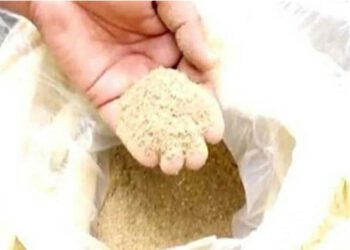 छापेमारी के दौरान ढाबे से 14.400 किलोग्राम चूरा-पोस्त बरामद