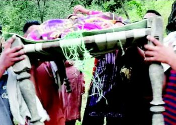 हमीरपुर : जंगल के बीचों-बीच गर्भवती की हुई डिलीवरी, जाने पूरा मामला