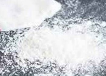 एसआईयू टीम ने 8.17 ग्राम हेरोइन सहित किए दो तस्कर गिरफ्तार….