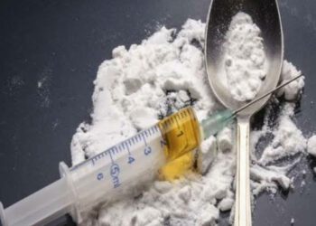 शिमला में फल-फूल रहा नशे का कारोबार, दो अलग-अलग मामलों में चिट्टा व हिरोइन के साथ 3 लोग गिरफ्तार…..