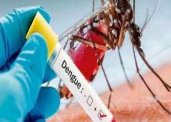 डेंगू से रहें सावधान, हिमाचल में इस साल अब तक डेंगू के आए 257 मामले….