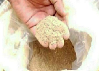 बाइक सवार युवक  5.123 किलोग्राम चूरा पोस्त के साथ गिरफ्तार