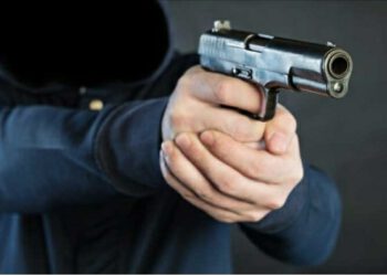 हिमाचल में पर्यटकों द्वारा हुड़दंग मचाने का एक और मामला, पिस्तौल दिखाकर…