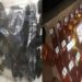 पुलिस की नशा माफियाओं पर कार्यवाही, चरस व अवैध शराब…….