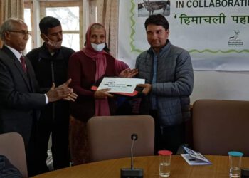 निजी बैंक में नौकरी कर रहे नरेश चौहान दिन रात कर रहे गौ सेवा,  ब्रीड सेवियर अवार्ड से सम्मानित