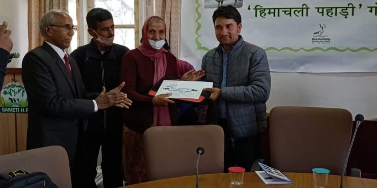 निजी बैंक में नौकरी कर रहे नरेश चौहान दिन रात कर रहे गौ सेवा,  ब्रीड सेवियर अवार्ड से सम्मानित