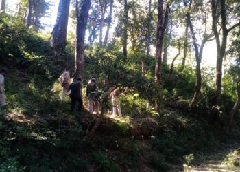 सांगटी समर हिल के जंगल में जिला परिषद सदस्य ने फांसी लगाकर की आत्महत्या, रामपुर की है रहने वाली……