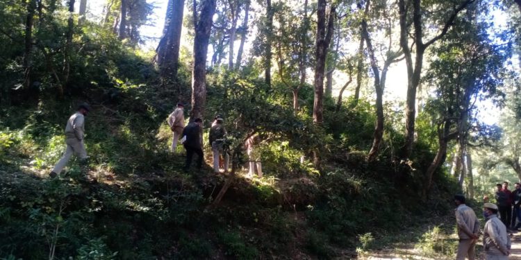 सांगटी समर हिल के जंगल में जिला परिषद सदस्य ने फांसी लगाकर की आत्महत्या, रामपुर की है रहने वाली……