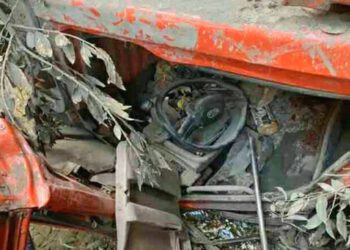 दीपावली की खुशियां मातम में बदली, ट्रक के खाई में गिरने से व्यक्ति की मौत