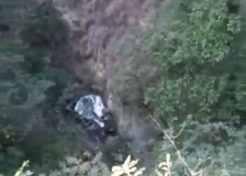 दोस्त के घर शादी में आए दो युवकों के शव मशोबरा में मिले, 31 अक्तूबर से थे लापता…….