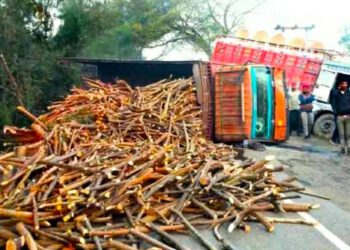 भाटियां में दो ट्रक और एक कैंटर पलटा, कार भी दुर्घटनाग्रस्त