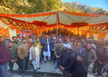 सरकार ने चौपाल क्षेत्र से किया भेदभाव : रजनीश किमटा