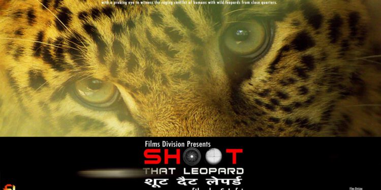 शिमला के गेयटी थियेटर में जुटेंगे दुनियाभर के नामी फिल्मकार, शिमला में तेंदुए के आतंक पर बनी फिल्म ‘ शूट देट लेपर्ड ‘ की जाएगी प्रदर्शित