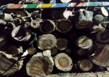 वन विभाग और पुलिस टीम ने पकड़ी लकड़ी से लदी जीप