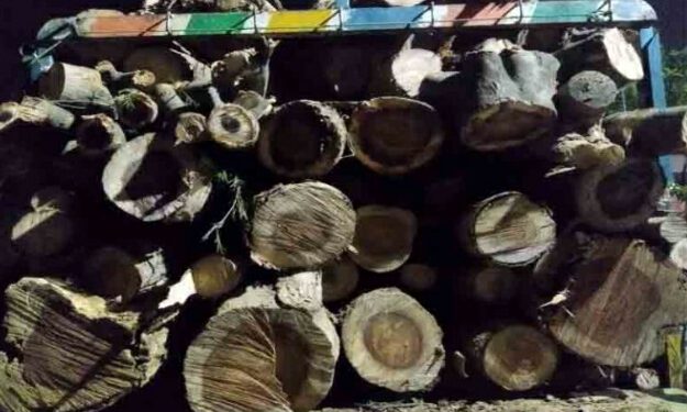 वन विभाग और पुलिस टीम ने पकड़ी लकड़ी से लदी जीप