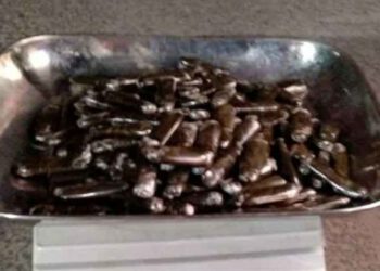 गश्त कर रही पुलिस ने चरस सहित दबोचा युवक