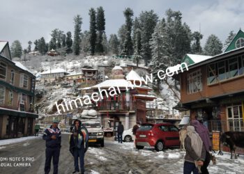 कुफरी नारकंडा में ताजा हिमपात, देखिए बर्फबारी के बाद नारकंडा का खूबसूरत नजारा…..