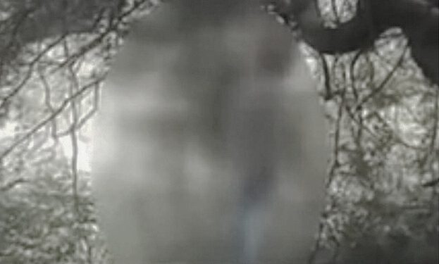 कोटखाई के जंगल में पेड़ से फंदा लगाकर व्यक्ति ने की अपनी जीवन लीला समाप्त