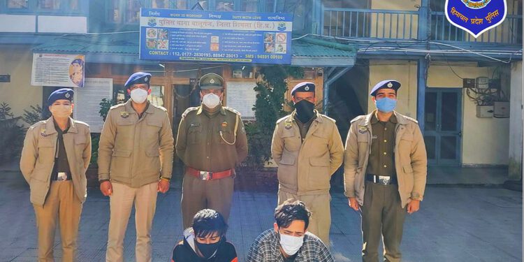 नशे की खेप के साथ न्यू शिमला व देवनगर कसुम्पटी के दो युवक गिरफ्तार……